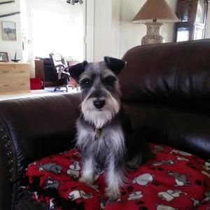 Meet your Posher, Edward